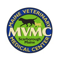 Veterinarian - ER