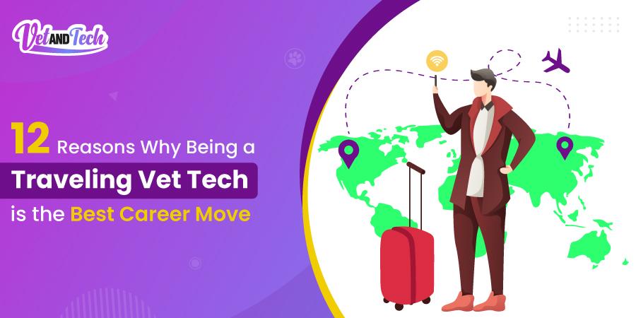 12 Reasons Why Being a Traveling Vet Tech is the Best Career Move