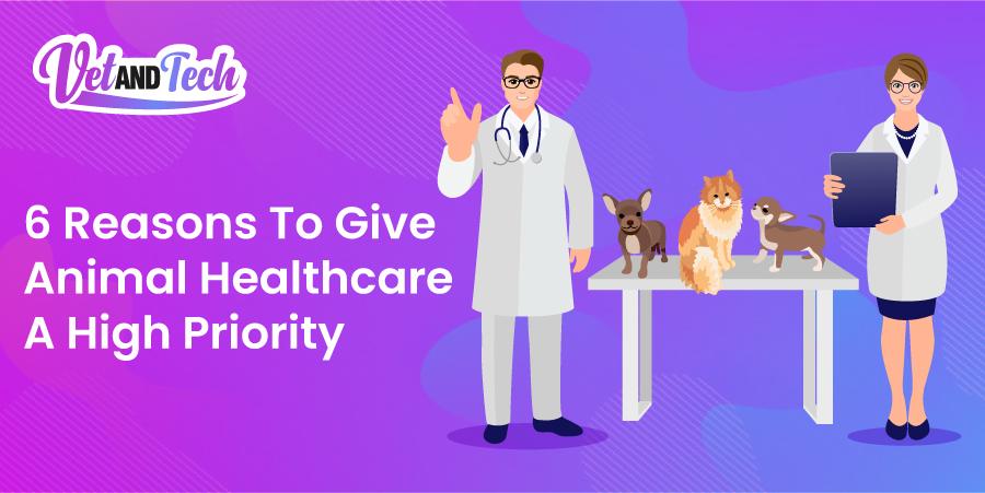 6 Reasons To Give Animal Healthcare A High Priority