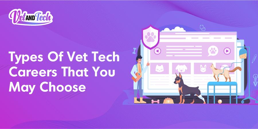 9 Types Of Vet Tech Careers That You May Choose