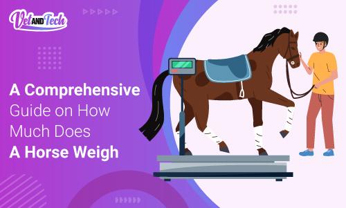 A Comprehensive Guide on How Much Does A Horse Weigh
