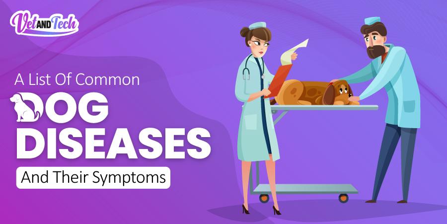 A List Of Common Dog Diseases And Their Symptoms