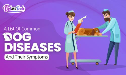 A List Of Common Dog Diseases And Their Symptoms