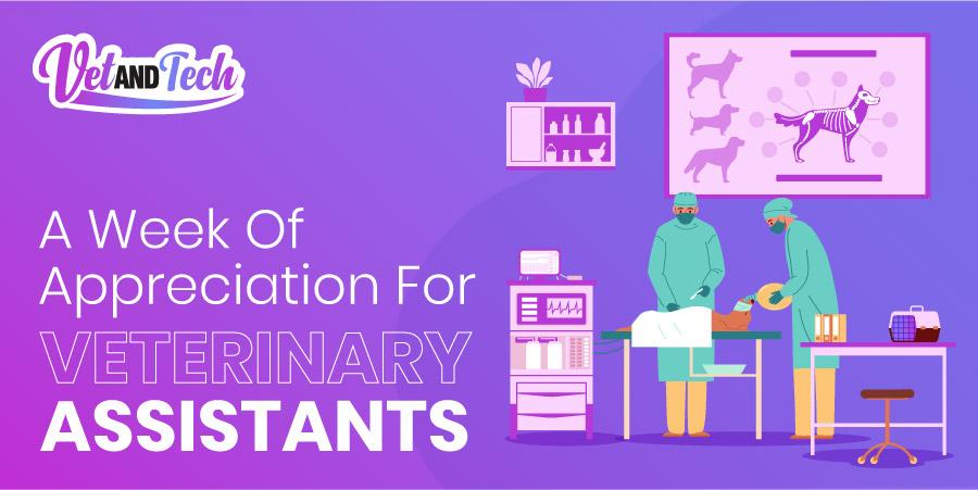A Week of Appreciation for Veterinary Assistants