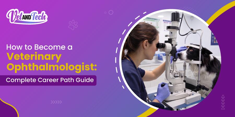 How to Become a Veterinary Ophthalmologist: Complete Career Path Guide