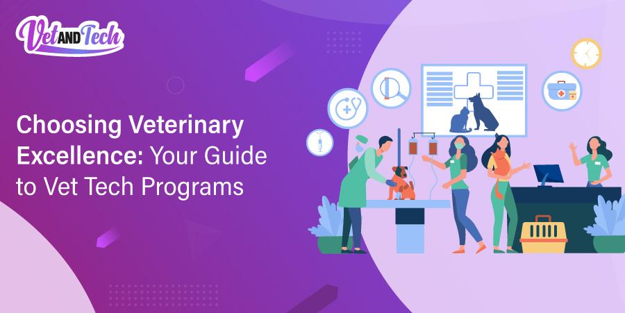 Choosing Veterinary Excellence: Your Guide to Vet Tech Programs