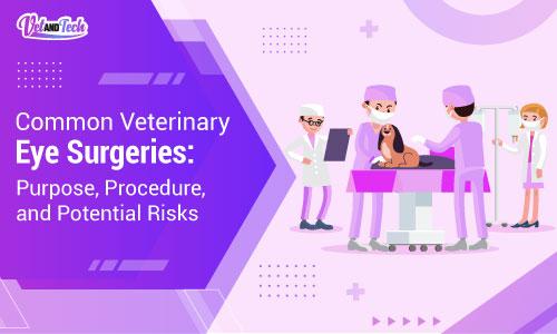 Common Veterinary Eye Surgeries: Purpose, Procedure, and Potential Risks
