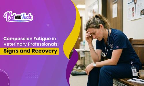 What Is Compassion Fatigue? A Veterinary Professional's Guide to Recognizing and Recovering From It