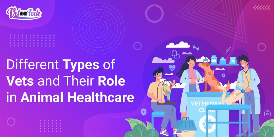 Different Types of Vets and Their Role in Animal Healthcare