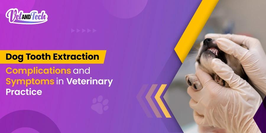 Dog Tooth Extraction Complications and Symptoms in Veterinary Practice