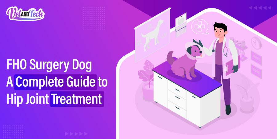 FHO Surgery Dog: A Complete Guide to Hip Joint Treatment