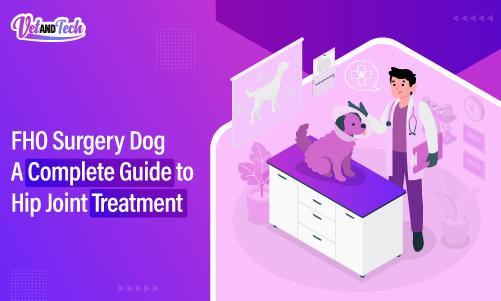 FHO Surgery Dog: A Complete Guide to Hip Joint Treatment