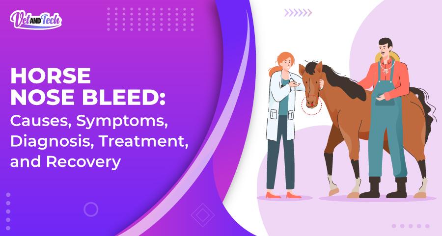 Horse Nose Bleed: Causes, Symptoms, Diagnosis, Treatment, and Recovery