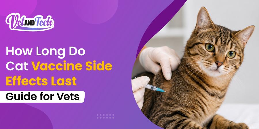 How Long Do Cat Vaccine Side Effects Last? A Guide for Veterinarians