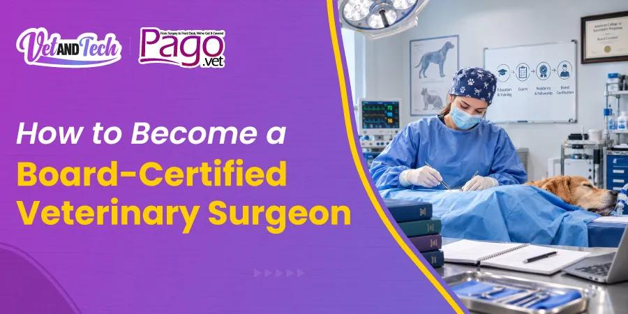 How to Become a Board-Certified Veterinary Surgeon: Career Guide