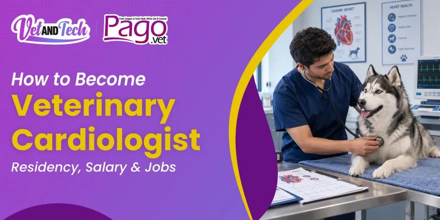 How to Become a Veterinary Cardiologist: Residency, Salary & Jobs