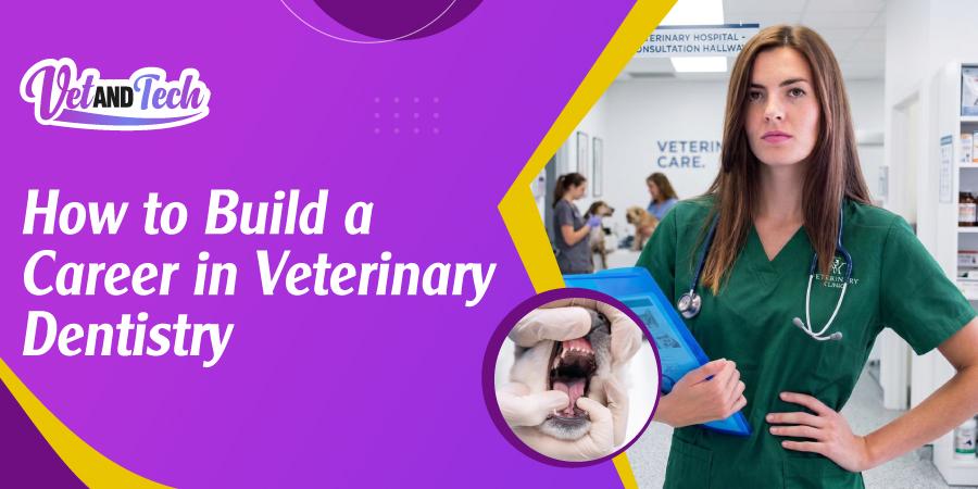 How to Build a Career in Veterinary Dentistry