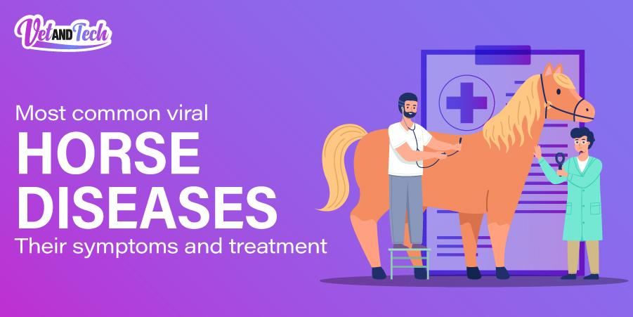 Most Common Viral Horse Diseases, Their Symptoms, And Treatment