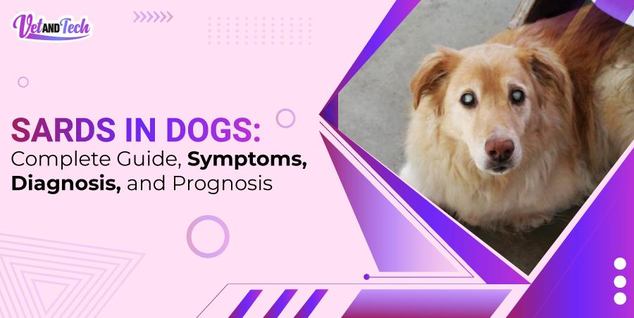 SARDS In Dogs: Complete Guide, Symptoms, Diagnosis, and Prognosis