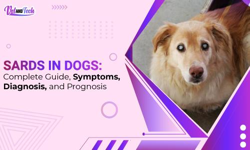 SARDS In Dogs: Complete Guide, Symptoms, Diagnosis, and Prognosis