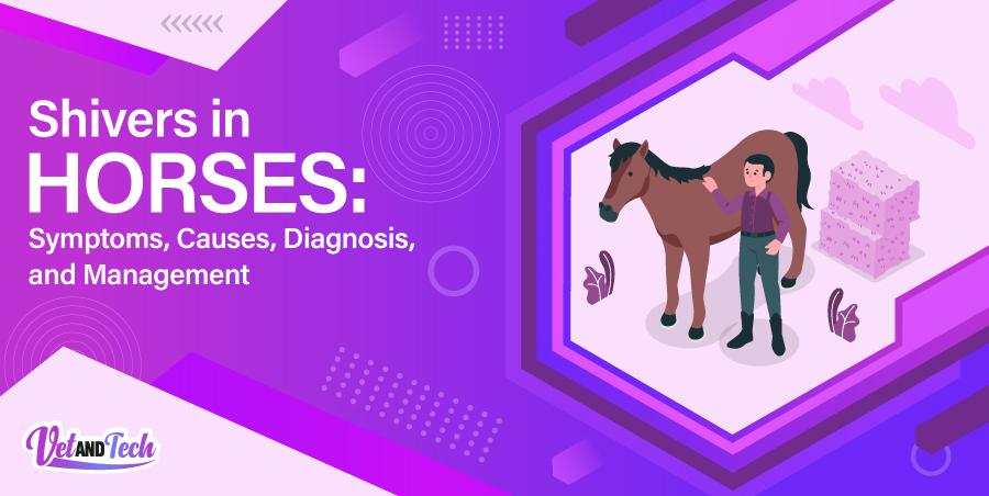 Shivers in Horses: Symptoms, Causes, Diagnosis, and Management