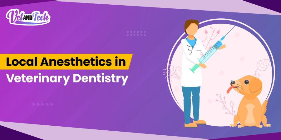 The Role of Local Anesthetics in Veterinary Dentistry