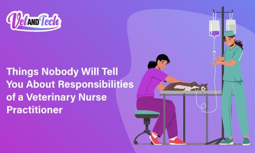 Things Nobody Will Tell You About Responsibilities of a Veterinary Nurse Practitioner