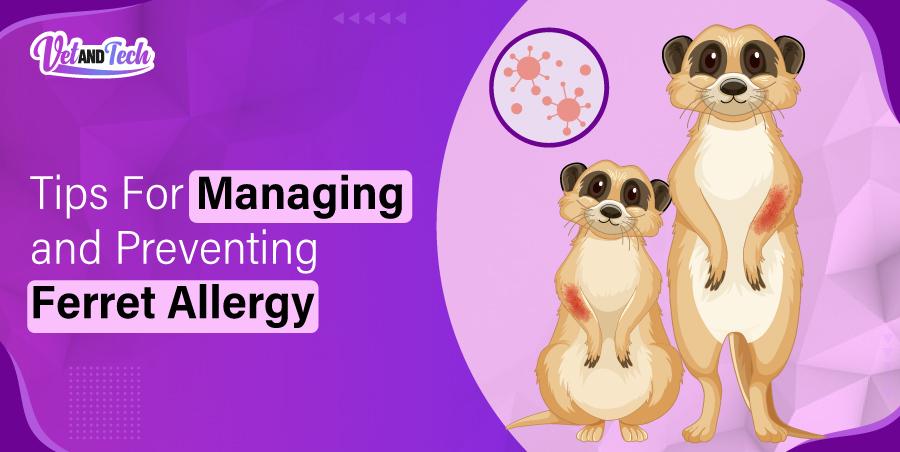 Tips For Managing and Preventing Ferret Allergy