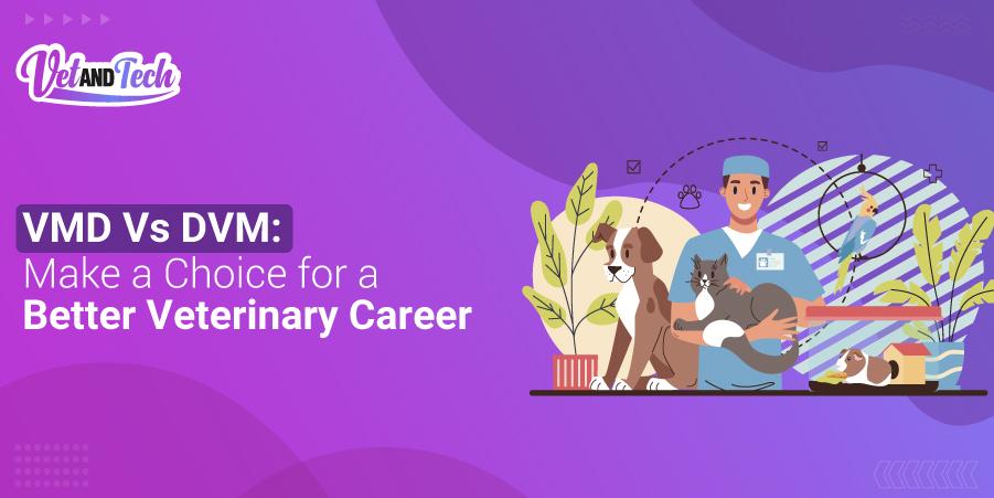 VMD Vs DVM: Make a Choice for a Better Veterinary Career