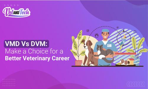 VMD Vs DVM: Make a Choice for a Better Veterinary Career