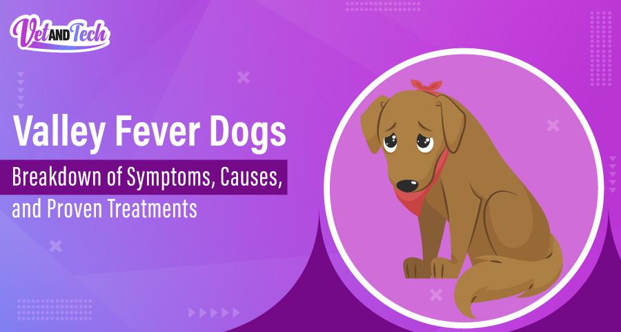 Valley Fever Dogs: Breakdown of Symptoms, Causes, and Proven Treatments