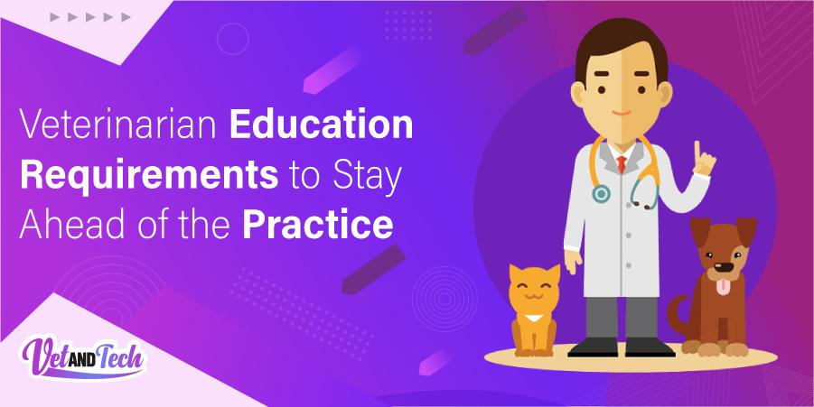Veterinarian Education Requirements to Stay Ahead of the Practice