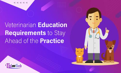 Veterinarian Education Requirements to Stay Ahead of the Practice