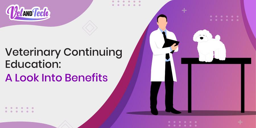 Veterinary Continuing Education: A Look Into Benefits