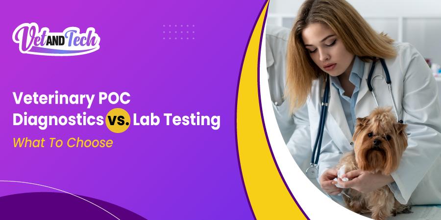 Point-of-Care Diagnostics vs. Reference Laboratory Testing: When Should Veterinarians Choose Each?