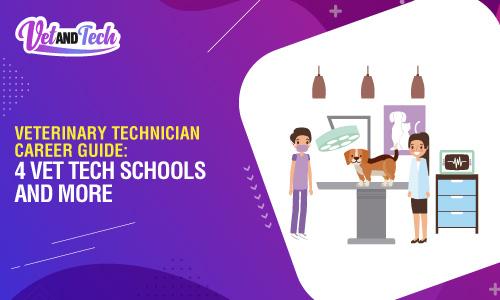 Veterinary Technician Career Guide: 4 Vet Tech Schools and More