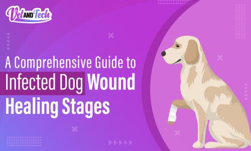 A Comprehensive Guide to Infected Dog Wound Healing Stages