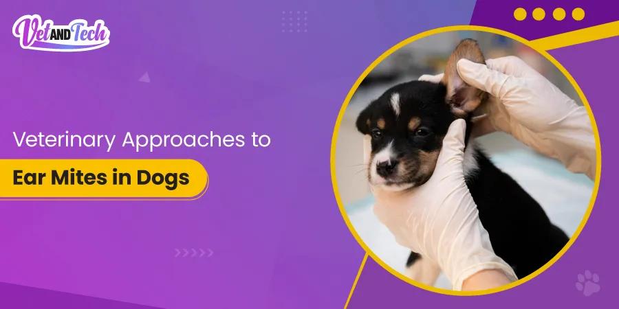 Advanced Veterinary Approaches to Ear Mite Infestations in Dogs