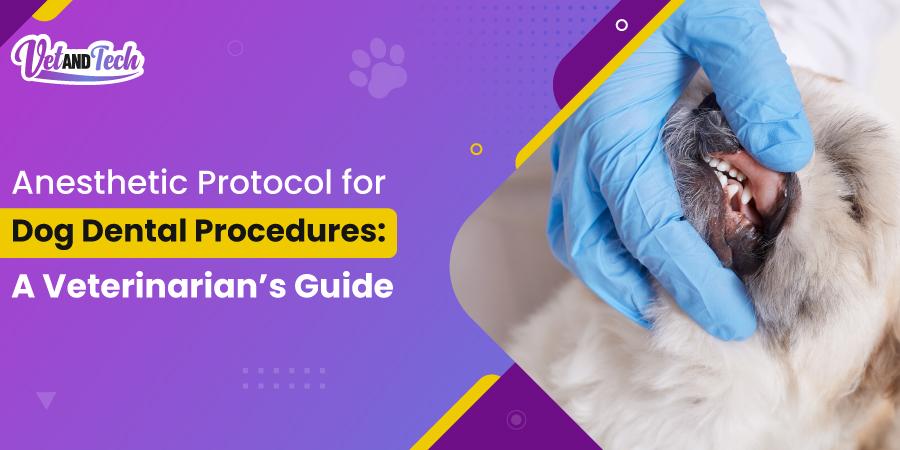 Anesthetic Protocols for Dog Dental Procedures - A Veterinarian’s Guide