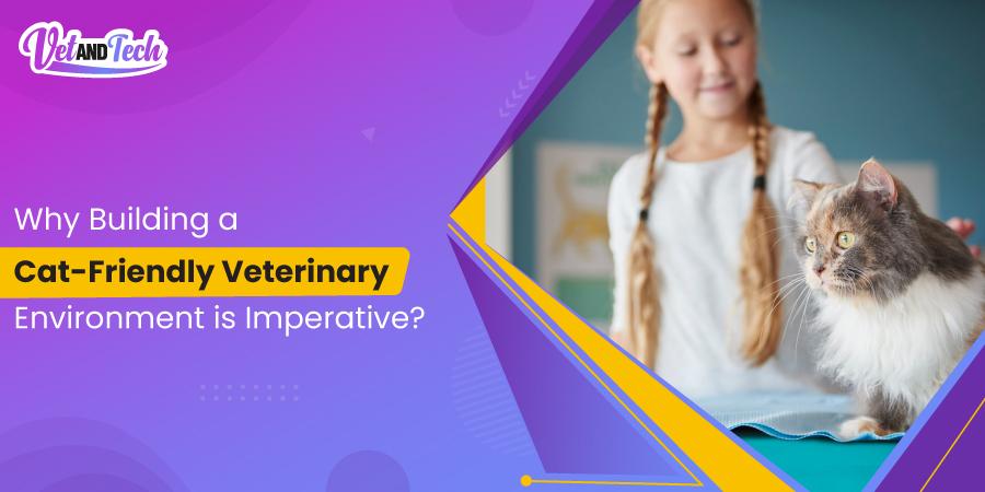 Cat Friendly Veterinary Environment - Best Tips for Vets