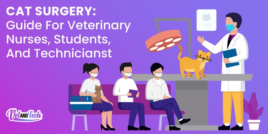 Cat Surgery: Guide For Veterinary Nurses, Students, And Technicians
