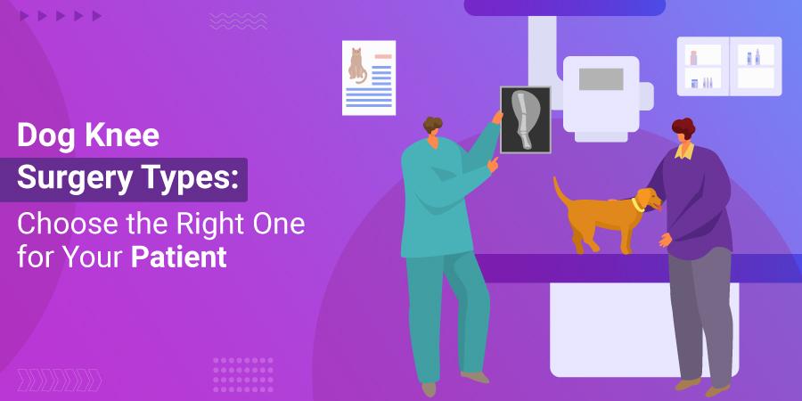 Dog Knee Surgery Types: Choose the Right One for Your Patient