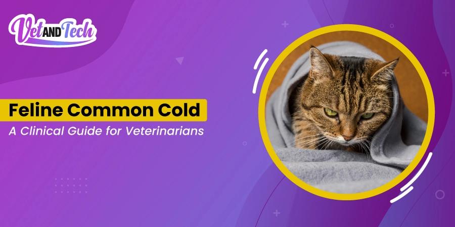 Feline Common Cold: A Clinical Guide for Veterinarians