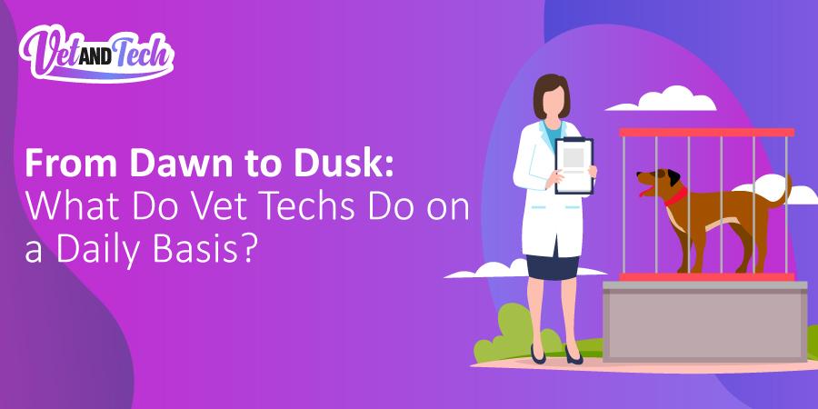 From Dawn to Dusk: What Do Vet Techs Do on a Daily Basis?