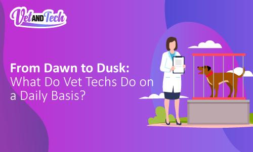 From Dawn to Dusk: What Do Vet Techs Do on a Daily Basis?