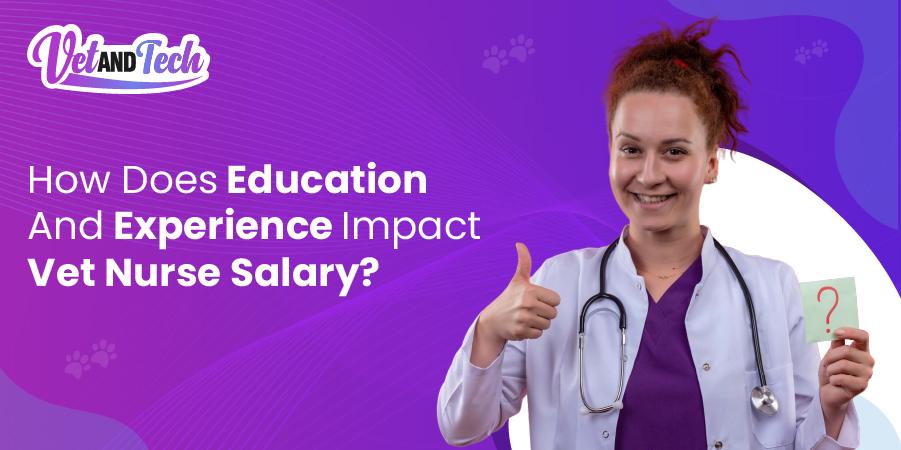 How Does Education And Experience Impact Vet Nurse Salary?
