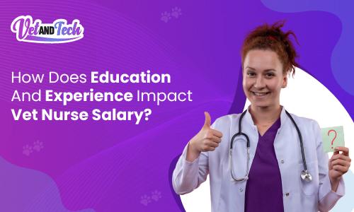 How Does Education And Experience Impact Vet Nurse Salary?