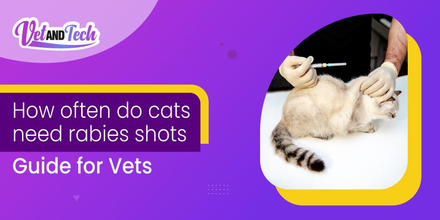 How Often Do Cats Need Rabies Shots: A Guide for Veterinarians