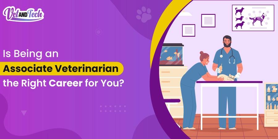 Is Being an Associate Veterinarian the Right Career for You?