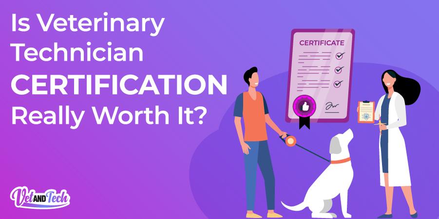 Is Veterinary Technician Certification Really Worth It?
